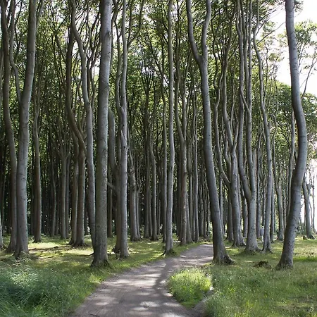 아파트 Astarte 오스치바드 닌하겐